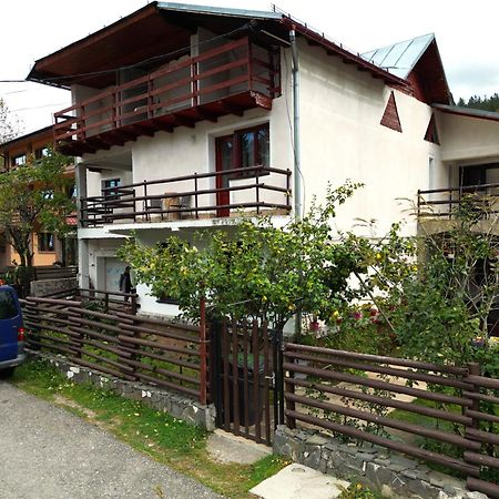 Vila Nik Buşteni Dış mekan fotoğraf