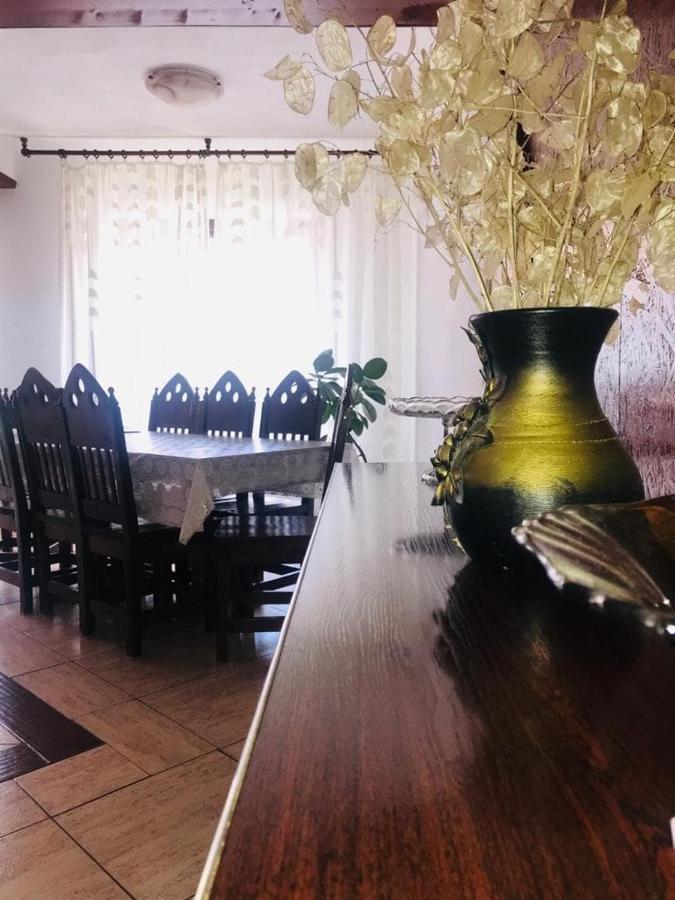 Vila Nik Buşteni Dış mekan fotoğraf