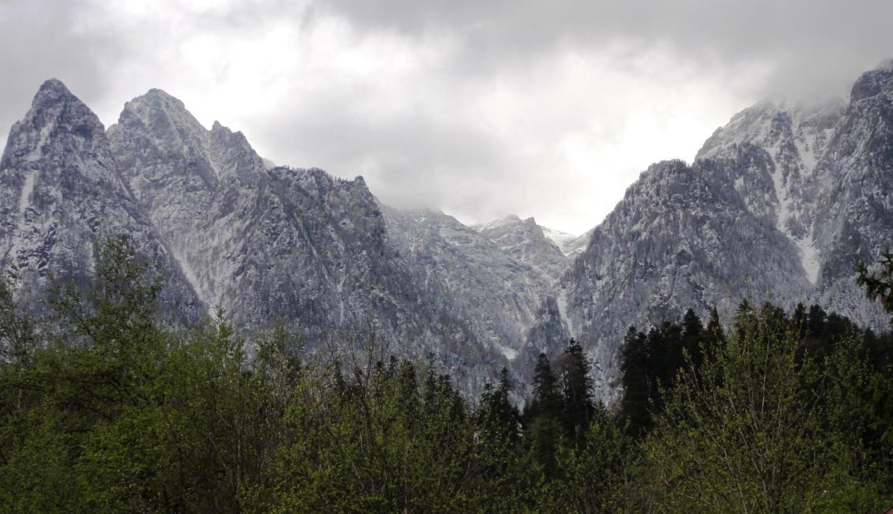 Vila Nik Buşteni Dış mekan fotoğraf